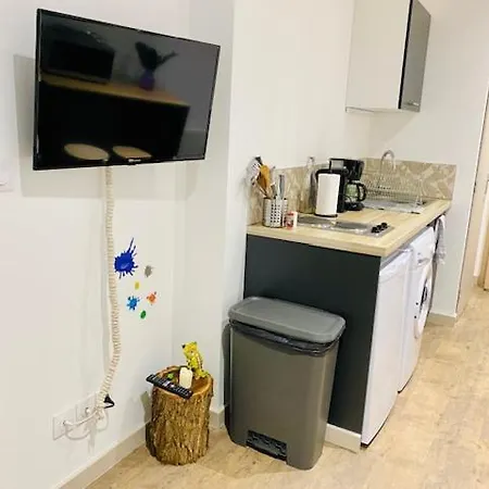 Apartamento L'oasis Viriat