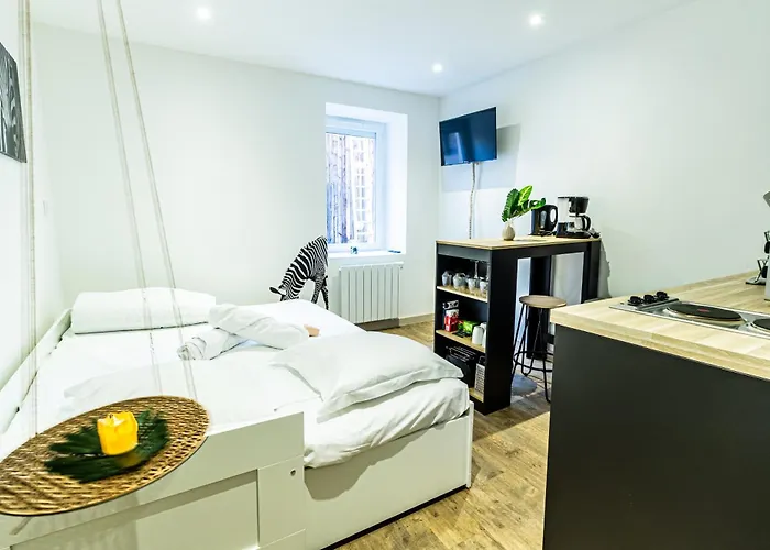 L'oasis Apartment Viriat