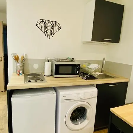Apartment L'oasis Viriat