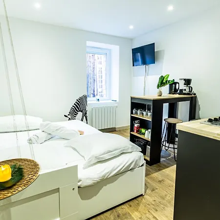 L'oasis Apartment Viriat